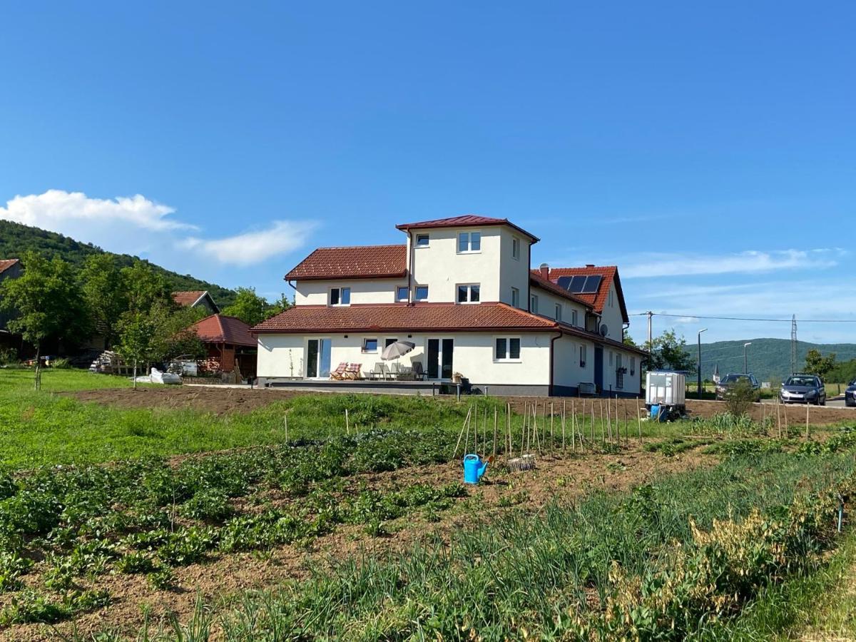 Apartman Fenestra S Terasom I Pogledom Na Gacku Оточац Экстерьер фото